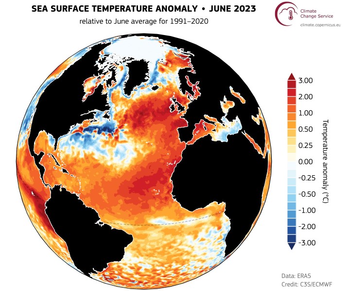 Sea-Surface-Anomaly-Climate-Change-Service.jpg